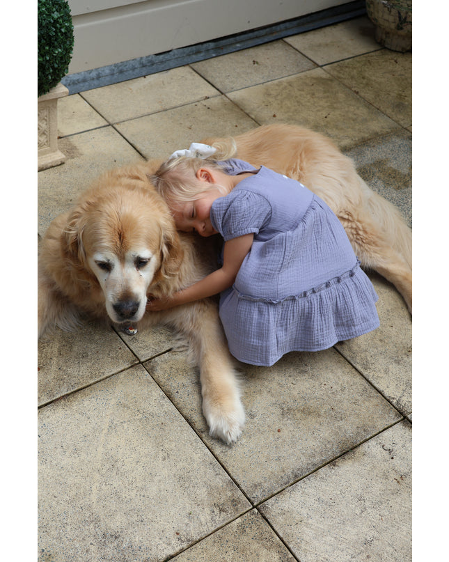 Harper Dress ~ Blue Violet