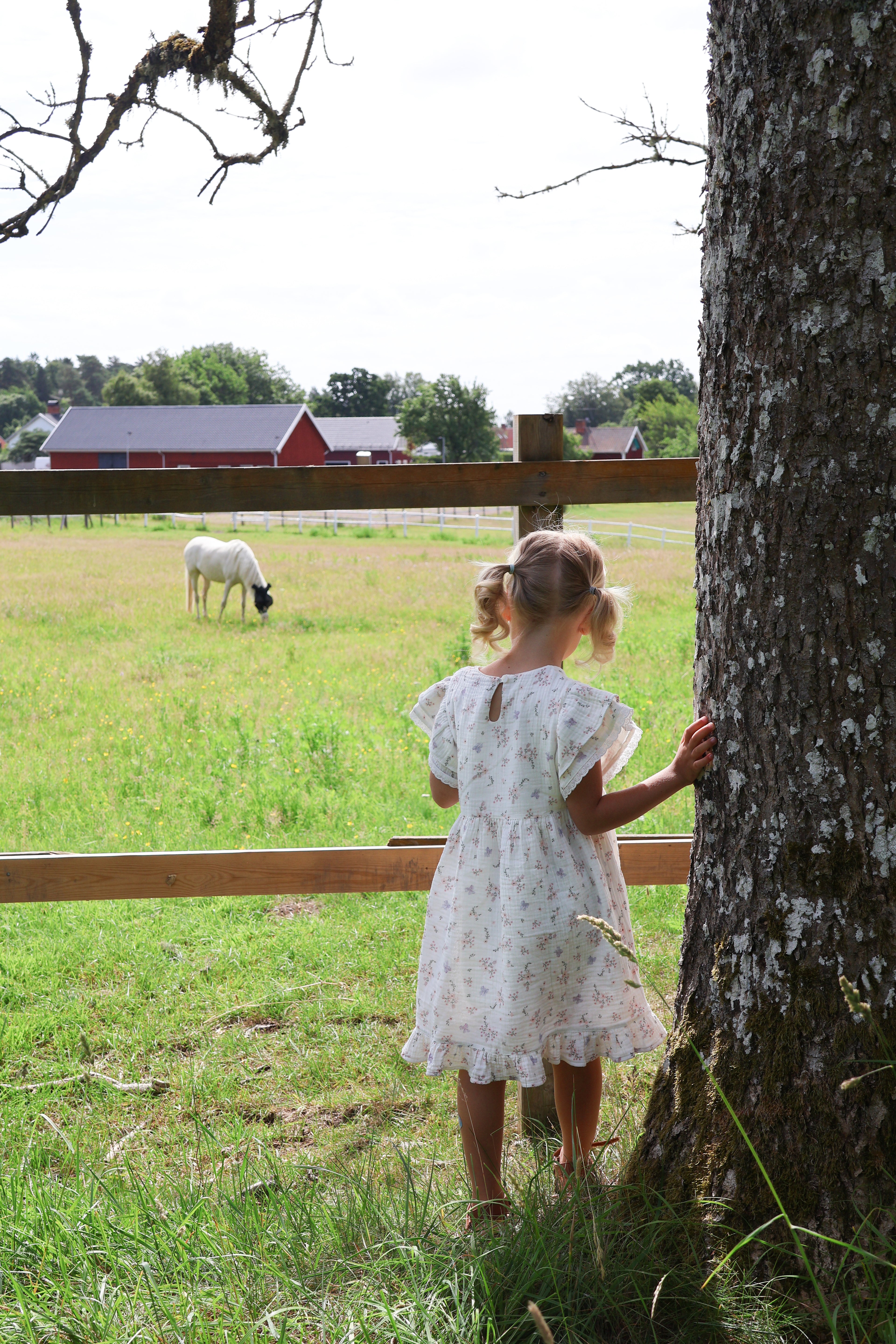 Organic Cotton Oaklee Dress