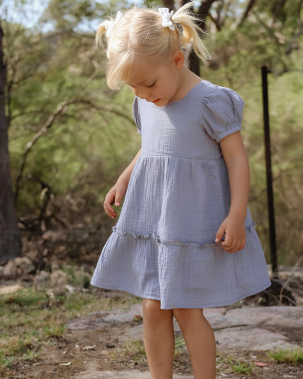 Harper Dress ~ Blue Violet